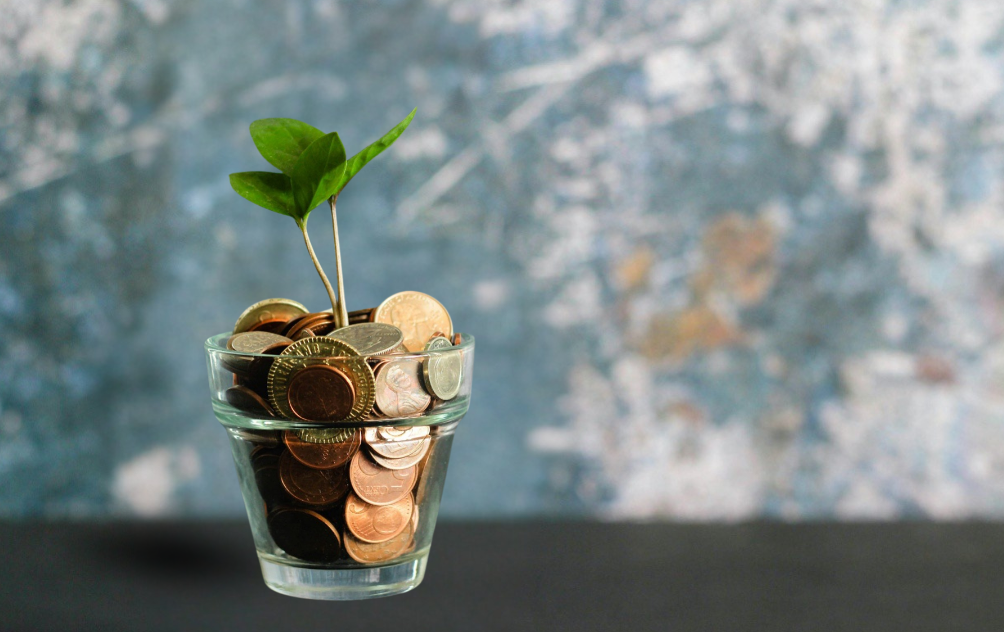 BC Minimum Wage Increase on June 1, 2026: What Employers Should Update Now